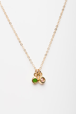 Able Legacy Birthstone Necklace
