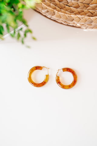 Brown and Gold Hoop Earring
