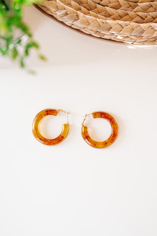 Brown and Gold Hoop Earring
