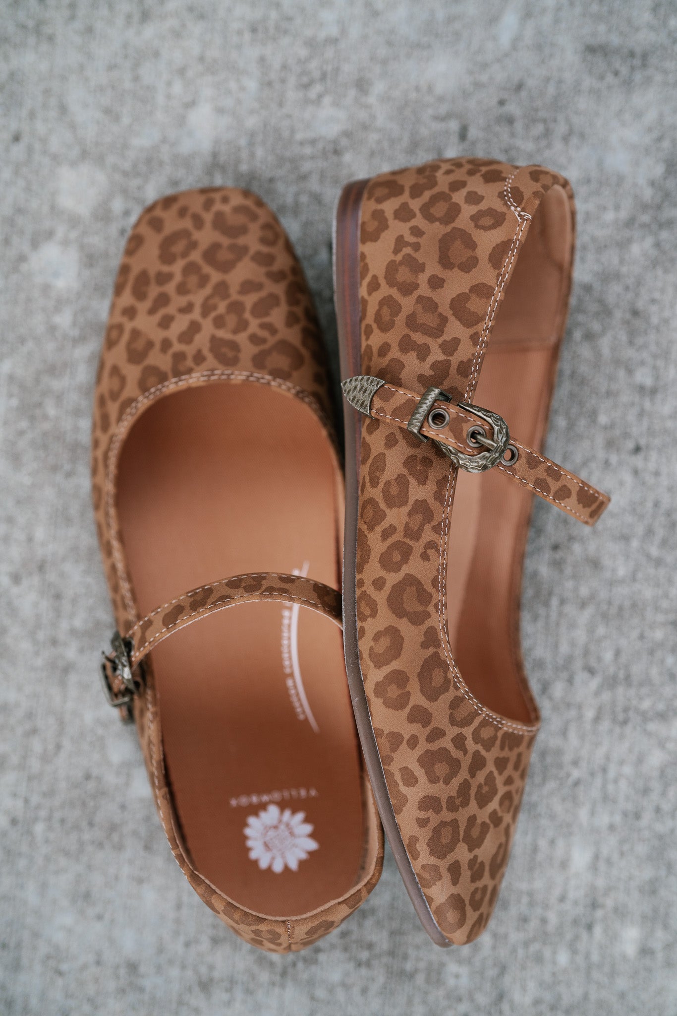 Collin Leopard Flat
