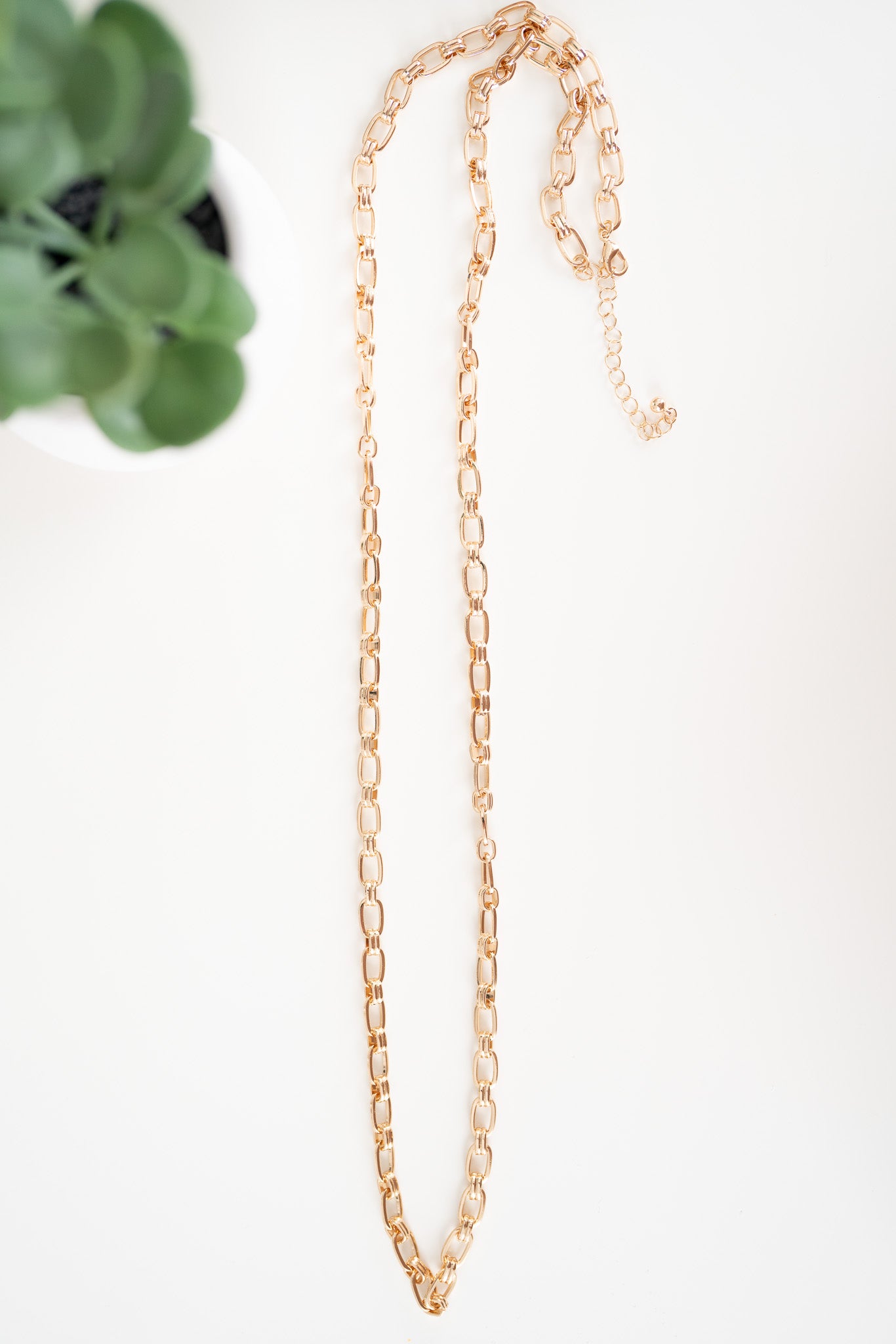 Gold Chain and Stud Set