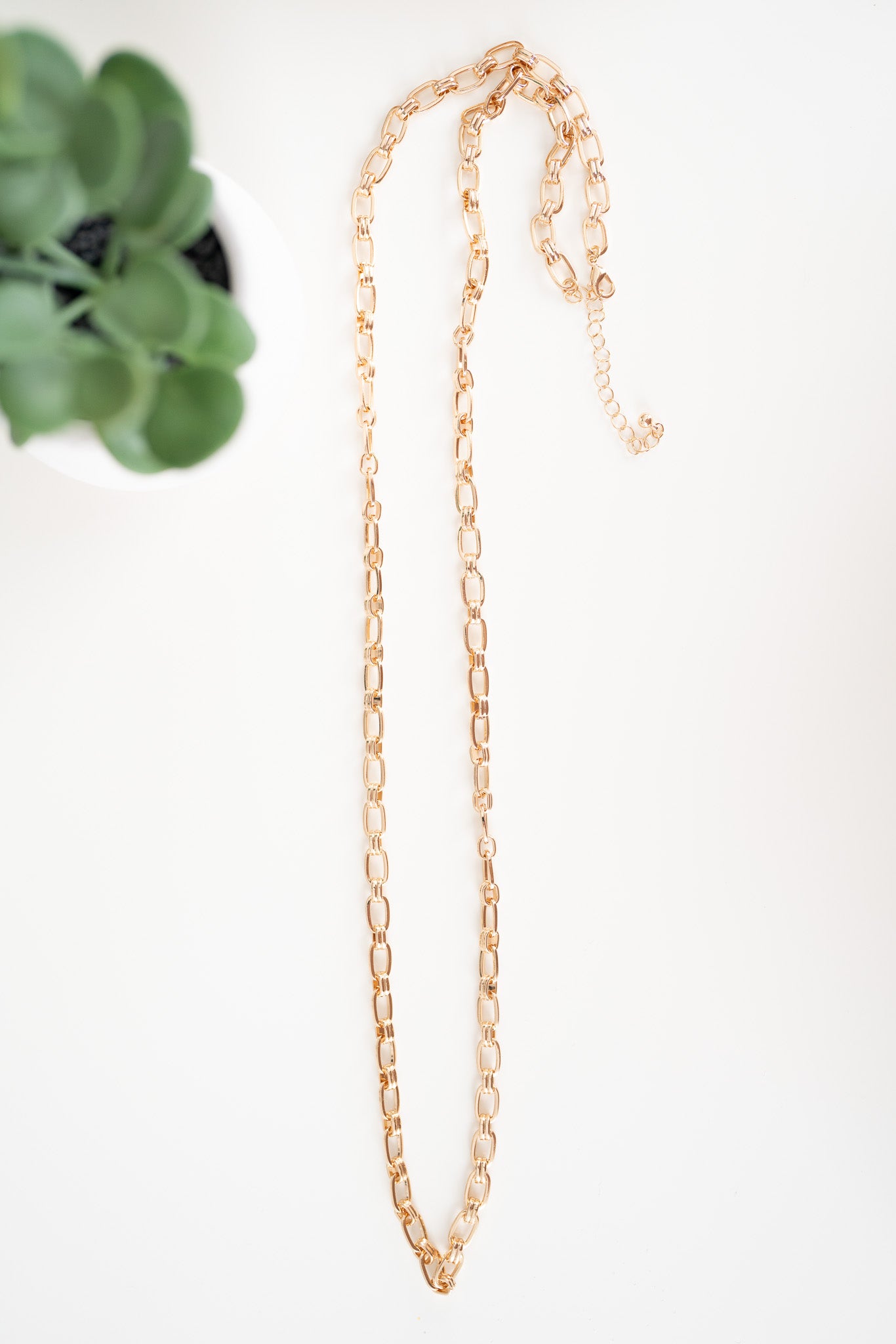 Gold Chain and Stud Set