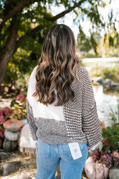 Comfort Is Calling Colorblock Knit Sweater - Brown