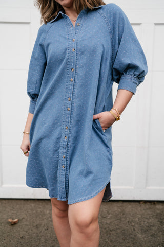 Stillwater Polka Dot Denim Shirt Dress