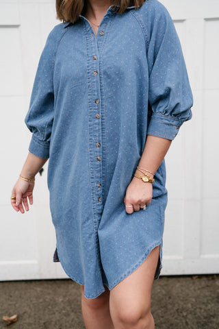 Stillwater Polka Dot Denim Shirt Dress