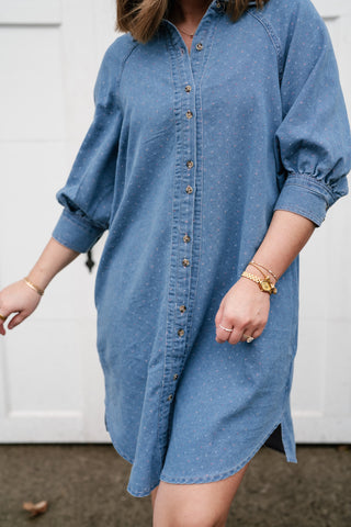Stillwater Polka Dot Denim Shirt Dress