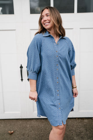 Stillwater Polka Dot Denim Shirt Dress