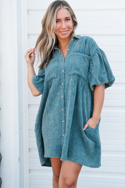 Sasha Puff Sleeve Dress