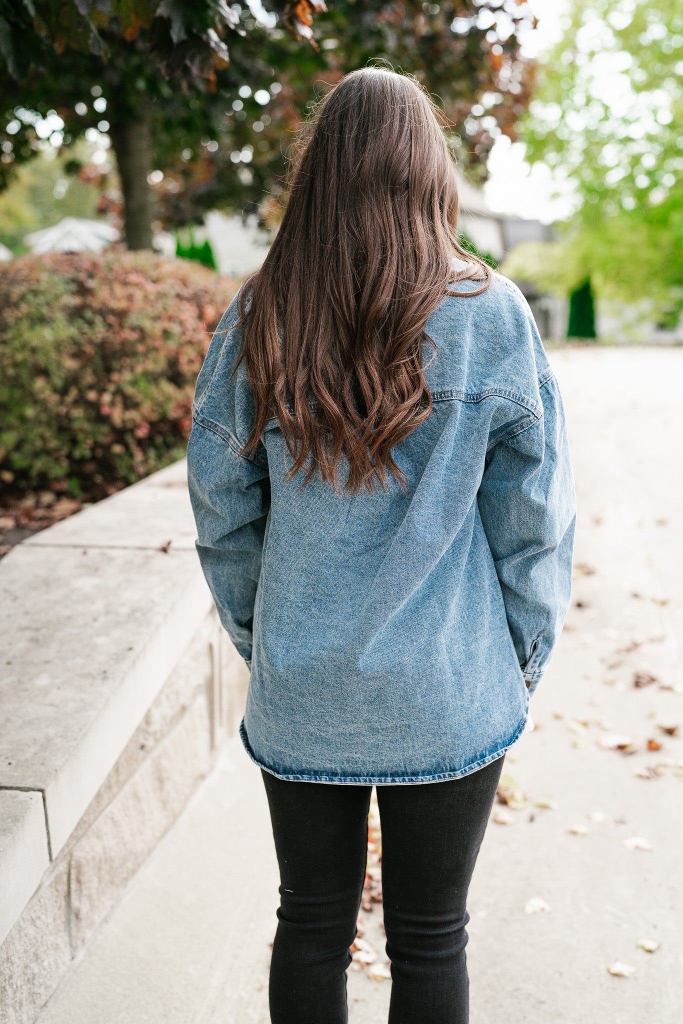 Skylar Denim Jacket